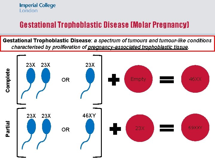 Gestational Trophoblastic Disease (Molar Pregnancy) Gestational Trophoblastic Disease: a spectrum of tumours and tumour-like
