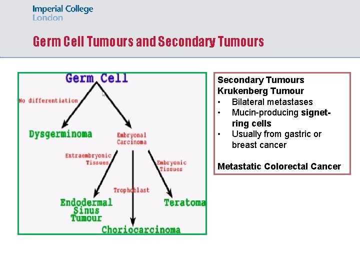 Germ Cell Tumours and Secondary Tumours Krukenberg Tumour • Bilateral metastases • Mucin-producing signetring