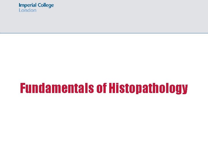 Fundamentals of Histopathology 