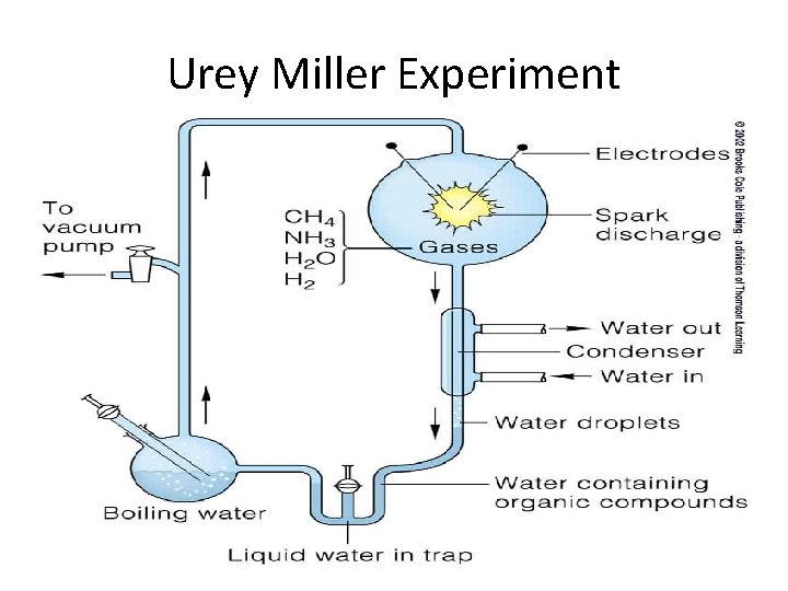 Urey Miller Experiment 