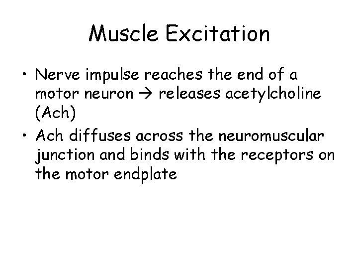Muscle Excitation • Nerve impulse reaches the end of a motor neuron releases acetylcholine
