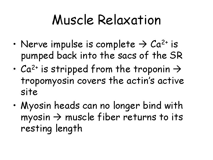 Muscle Relaxation • Nerve impulse is complete Ca 2+ is pumped back into the