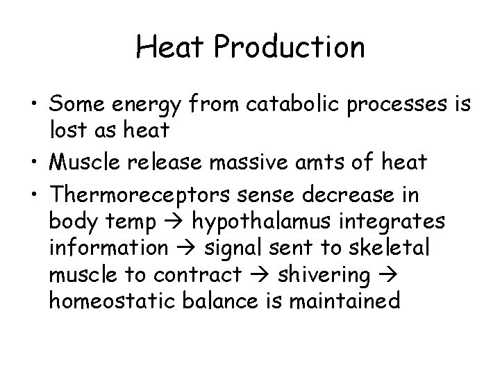 Heat Production • Some energy from catabolic processes is lost as heat • Muscle