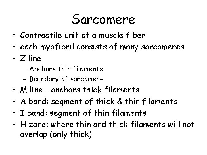 Sarcomere • Contractile unit of a muscle fiber • each myofibril consists of many