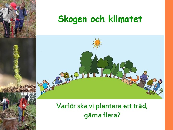 Skogen och klimatet Varför ska vi plantera ett träd, gärna flera? 