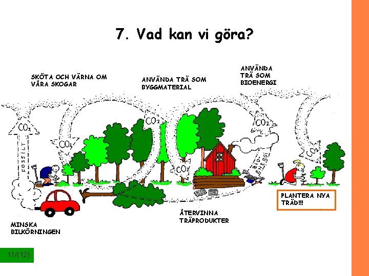 7. Vad kan vi göra? SKÖTA OCH VÄRNA OM VÅRA SKOGAR ANVÄNDA TRÄ SOM