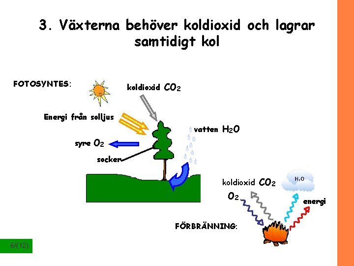 3. Växterna behöver koldioxid och lagrar samtidigt kol FOTOSYNTES: koldioxid CO 2 Energi från