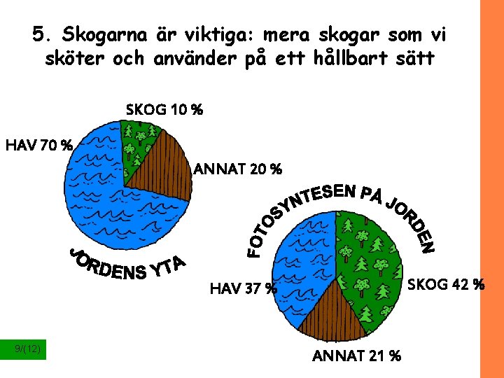 5. Skogarna är viktiga: mera skogar som vi sköter och använder på ett hållbart