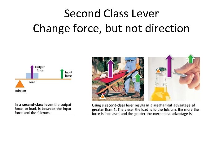 Second Class Lever Change force, but not direction 