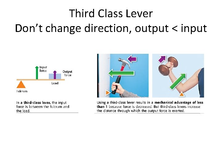 Third Class Lever Don’t change direction, output < input 