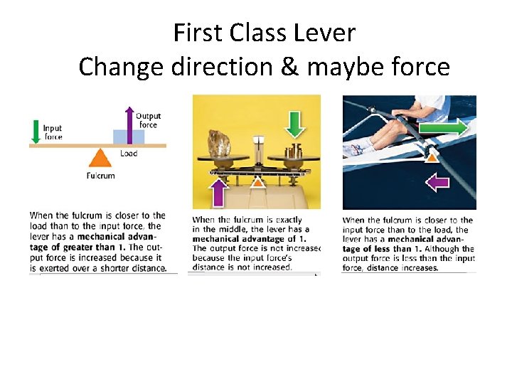 First Class Lever Change direction & maybe force 