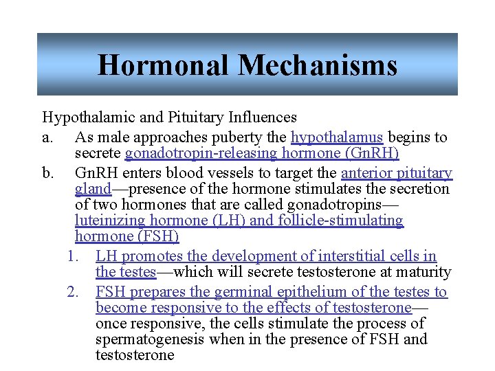 Hormonal Mechanisms Hypothalamic and Pituitary Influences a. As male approaches puberty the hypothalamus begins Hormonal Mechanisms Hypothalamic and Pituitary Influences a. As male approaches puberty the hypothalamus begins