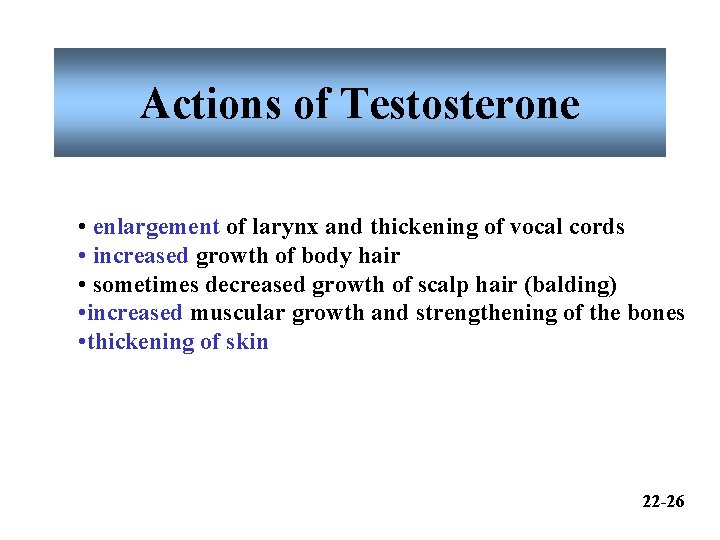 Actions of Testosterone • enlargement of larynx and thickening of vocal cords • increased Actions of Testosterone • enlargement of larynx and thickening of vocal cords • increased