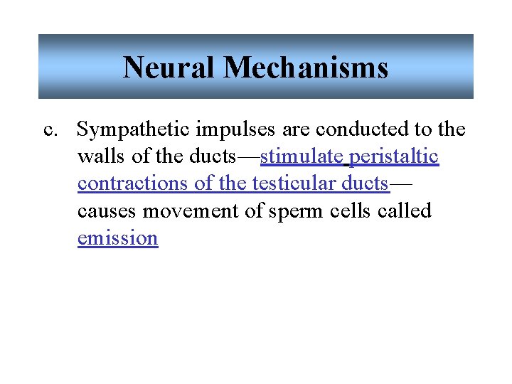 Neural Mechanisms c. Sympathetic impulses are conducted to the walls of the ducts—stimulate peristaltic Neural Mechanisms c. Sympathetic impulses are conducted to the walls of the ducts—stimulate peristaltic