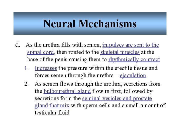 Neural Mechanisms d. As the urethra fills with semen, impulses are sent to the Neural Mechanisms d. As the urethra fills with semen, impulses are sent to the