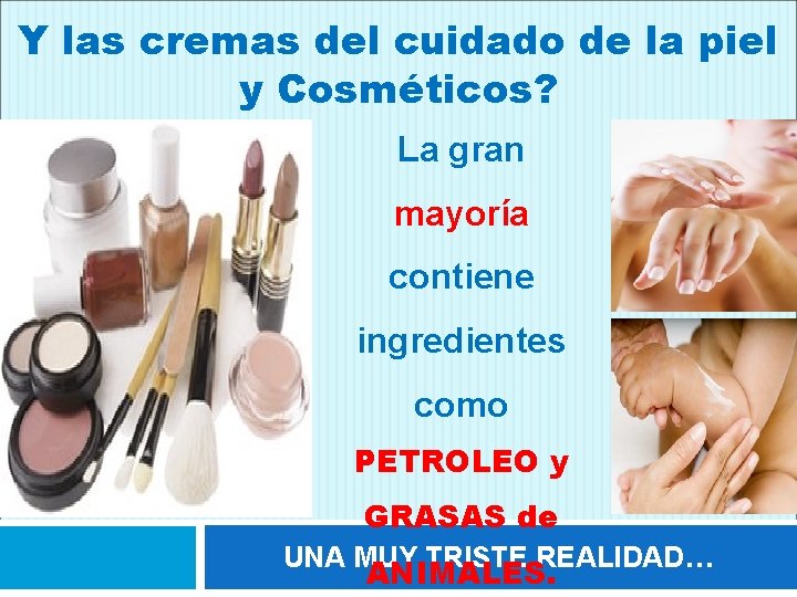 Y las cremas del cuidado de la piel y Cosméticos? La gran mayoría contiene