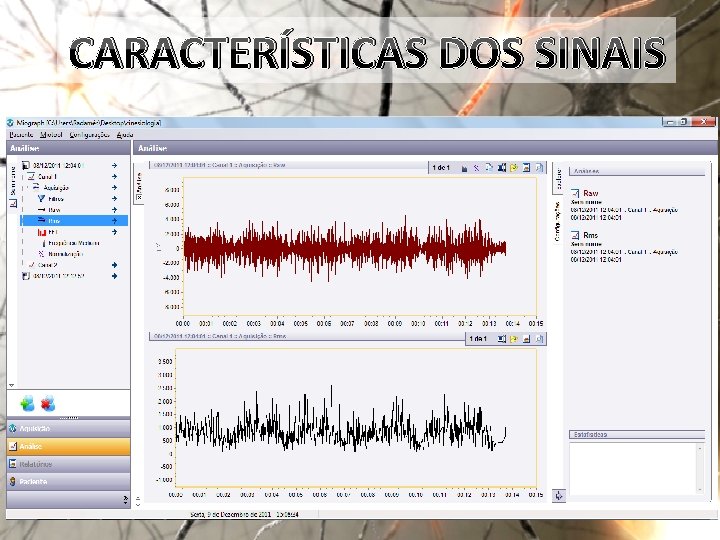 CARACTERÍSTICAS DOS SINAIS Ø Estrutura temporal ü Tempo de ocorrência RMS RAW dos fenômenos