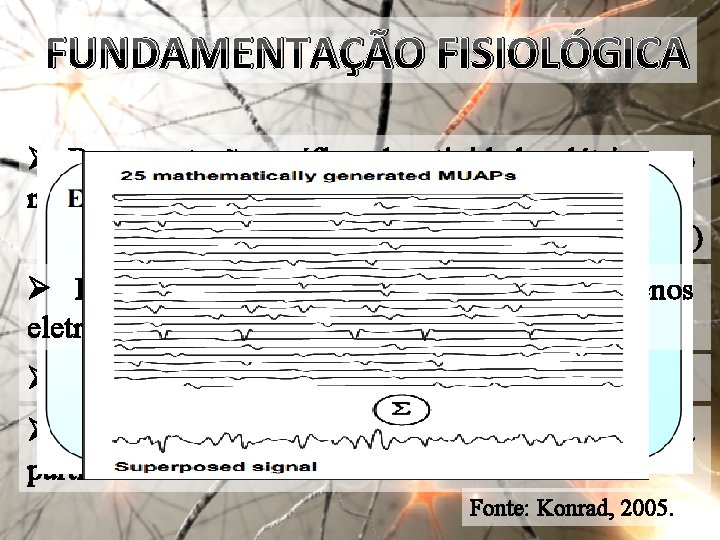 FUNDAMENTAÇÃO FISIOLÓGICA Ø Representação gráfica da atividade elétrica no músculo; (Correia, 2004; Chapman et