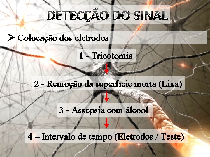 DETECÇÃO DO SINAL Ø Colocação dos eletrodos 1 - Tricotomia 2 - Remoção da