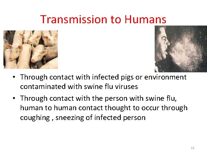 Transmission to Humans • Through contact with infected pigs or environment contaminated with swine Transmission to Humans • Through contact with infected pigs or environment contaminated with swine