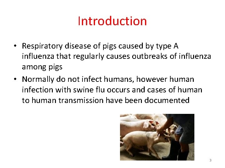 Introduction • Respiratory disease of pigs caused by type A influenza that regularly causes Introduction • Respiratory disease of pigs caused by type A influenza that regularly causes