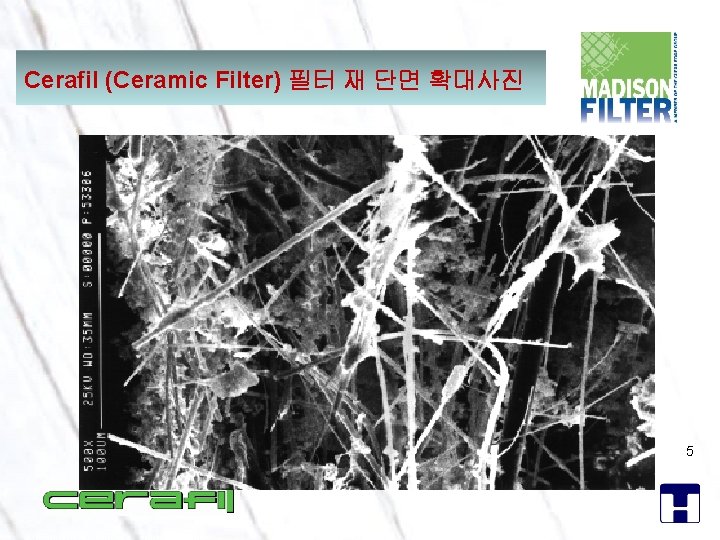 Cerafil (Ceramic Filter) 필터 재 단면 확대사진 5 