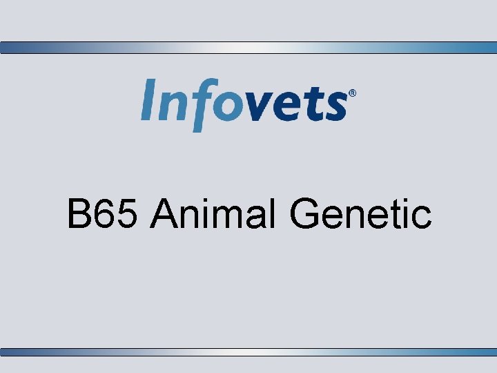 B 65 Animal Genetic 