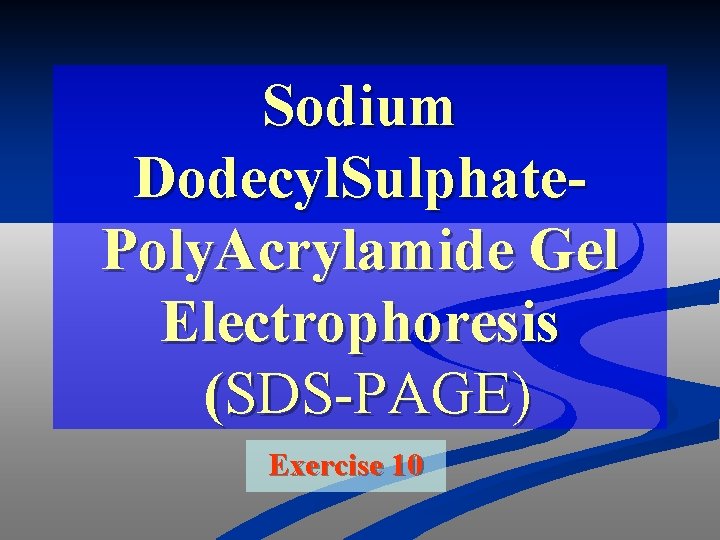 Sodium Dodecyl. Sulphate. Poly. Acrylamide Gel Electrophoresis (SDS-PAGE) Exercise 10 