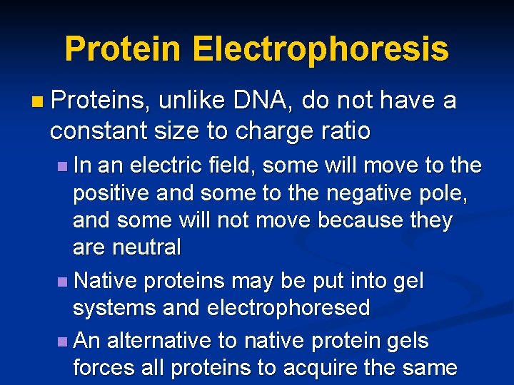 Protein Electrophoresis n Proteins, unlike DNA, do not have a constant size to charge