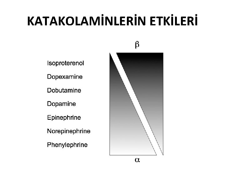 KATAKOLAMİNLERİN ETKİLERİ 