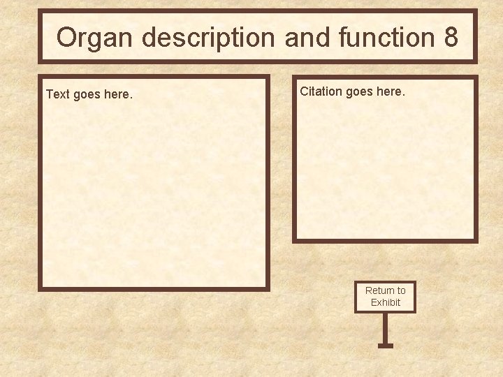 Organ description and function 8 Text goes here. Citation goes here. Return to Exhibit