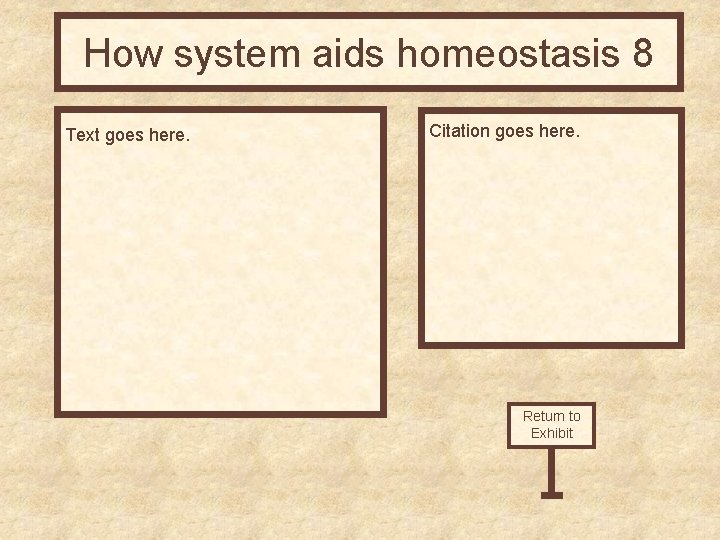 How system aids homeostasis 8 Text goes here. Citation goes here. Return to Exhibit