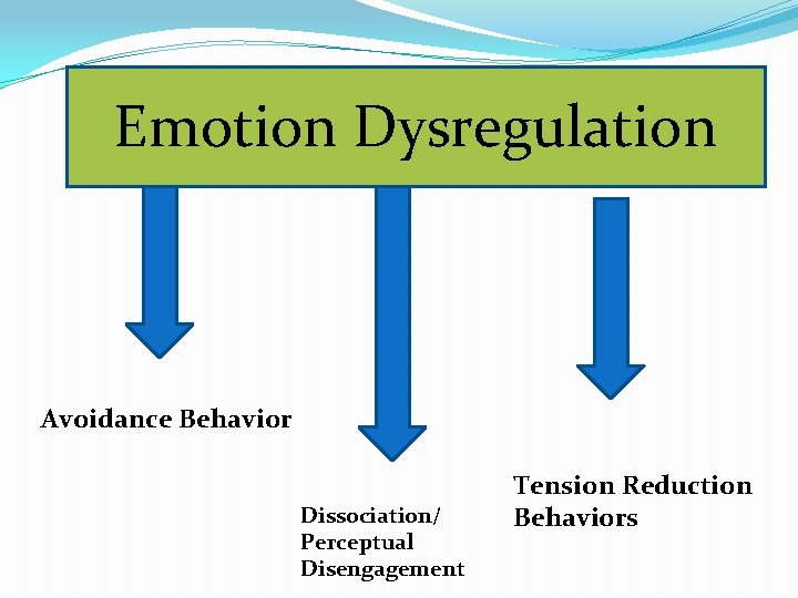 Emotion Dysregulation Avoidance Behavior Dissociation/ Perceptual Disengagement Tension Reduction Behaviors 