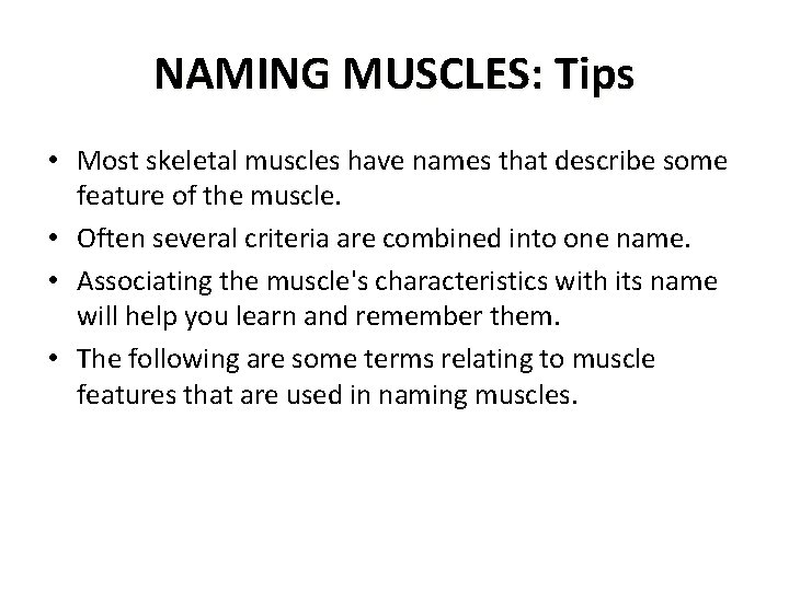NAMING MUSCLES: Tips • Most skeletal muscles have names that describe some feature of