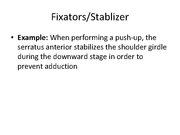 Fixators/Stablizer • Example: When performing a push-up, the serratus anterior stabilizes the shoulder girdle