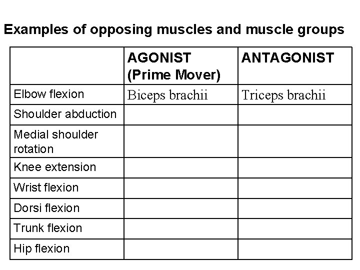 Examples of opposing muscles and muscle groups Elbow flexion Shoulder abduction Medial shoulder rotation