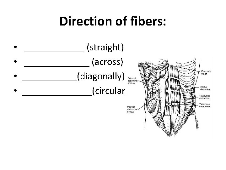 Direction of fibers: • • ______ (straight) _______ (across) ______(diagonally) _______(circular) 