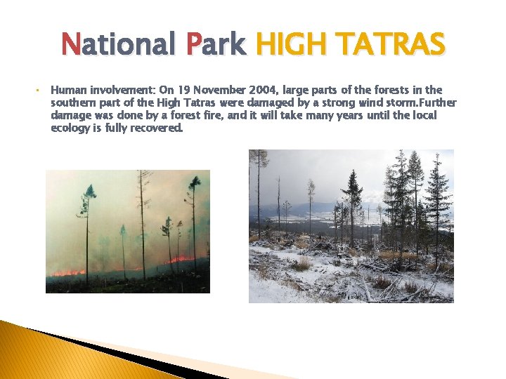 National Park HIGH TATRAS • Human involvement: On 19 November 2004, large parts of