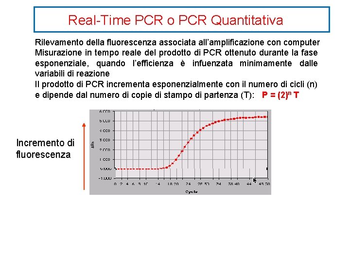 Real-Time PCR o PCR Quantitativa Rilevamento della fluorescenza associata all’amplificazione con computer Misurazione in