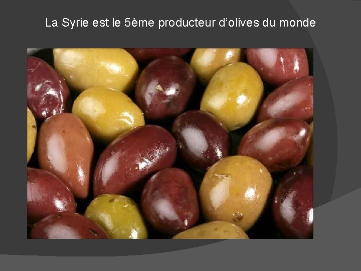 La Syrie est le 5ème producteur d’olives du monde 