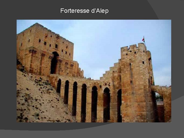 Forteresse d’Alep 