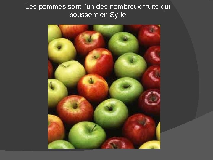 Les pommes sont l’un des nombreux fruits qui poussent en Syrie 