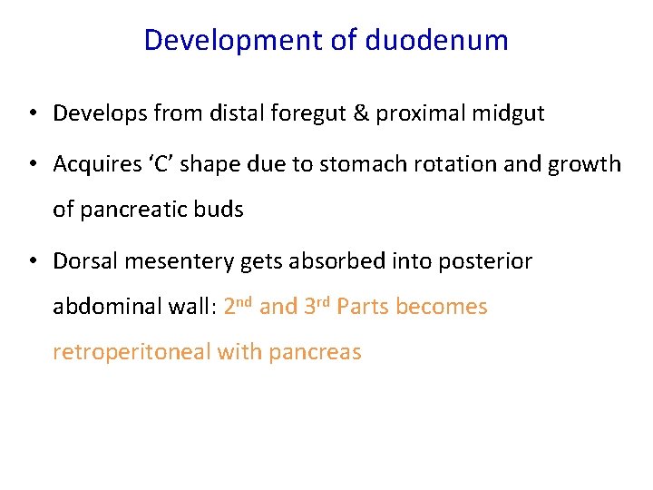 Development of duodenum • Develops from distal foregut & proximal midgut • Acquires ‘C’