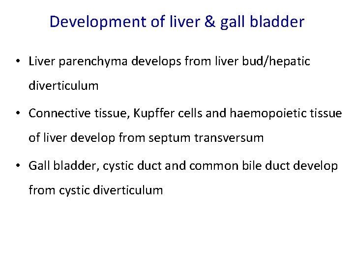 Development of liver & gall bladder • Liver parenchyma develops from liver bud/hepatic diverticulum