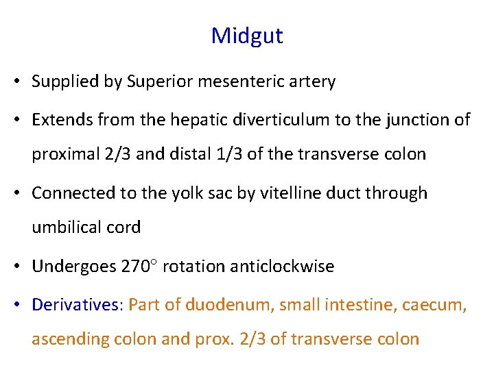 Midgut • Supplied by Superior mesenteric artery • Extends from the hepatic diverticulum to