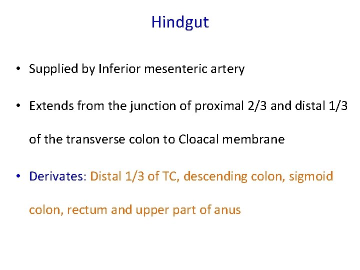 Hindgut • Supplied by Inferior mesenteric artery • Extends from the junction of proximal