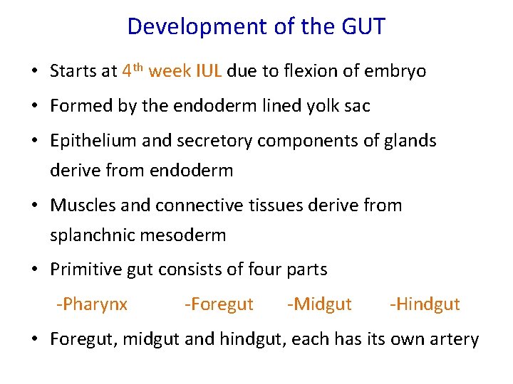 Development of the GUT • Starts at 4 th week IUL due to flexion