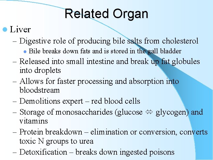 Related Organ l Liver – Digestive role of producing bile salts from cholesterol l