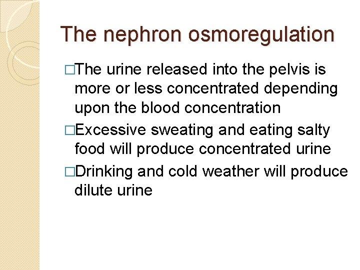 The nephron osmoregulation �The urine released into the pelvis is more or less concentrated