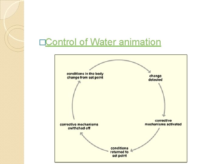 �Control of Water animation 